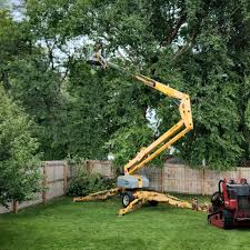 How Our Tree Care Process Works  in Neptune Beach, FL